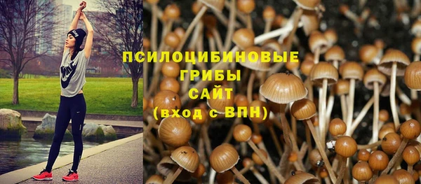 таблы Россошь