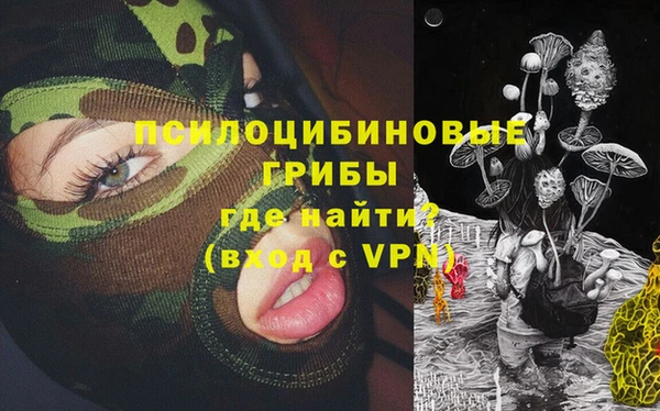 стаф Алексеевка