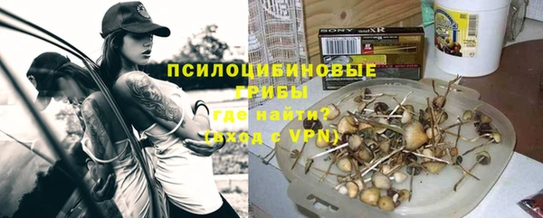стаф Алексеевка